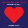 Falling In Love (Birdee Remix)