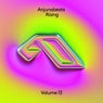 Anjunabeats Rising 13