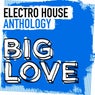 Big Love Electro House Anthology