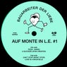 Auf Monte in L.E. #1