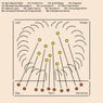 Dew Point Harmonics