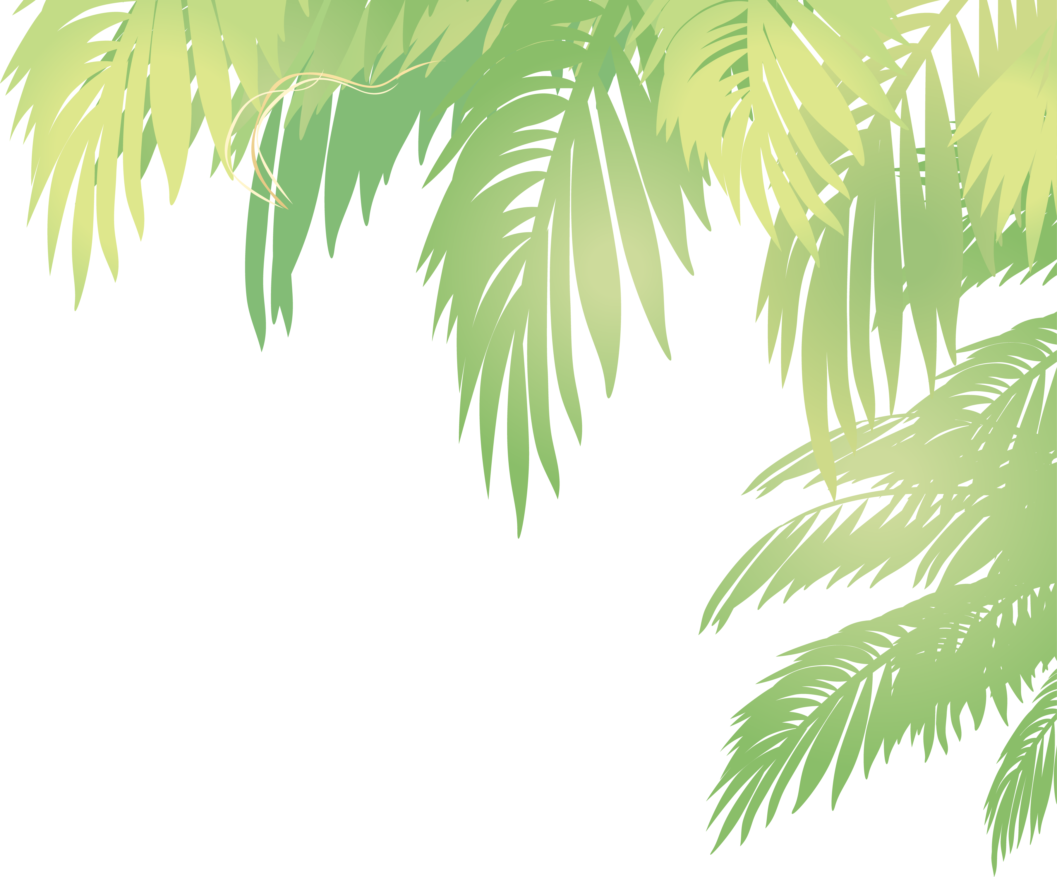 Vector Transparente Png Y Svg De Dibujado A Mano Hoja De Palma Tropical ...