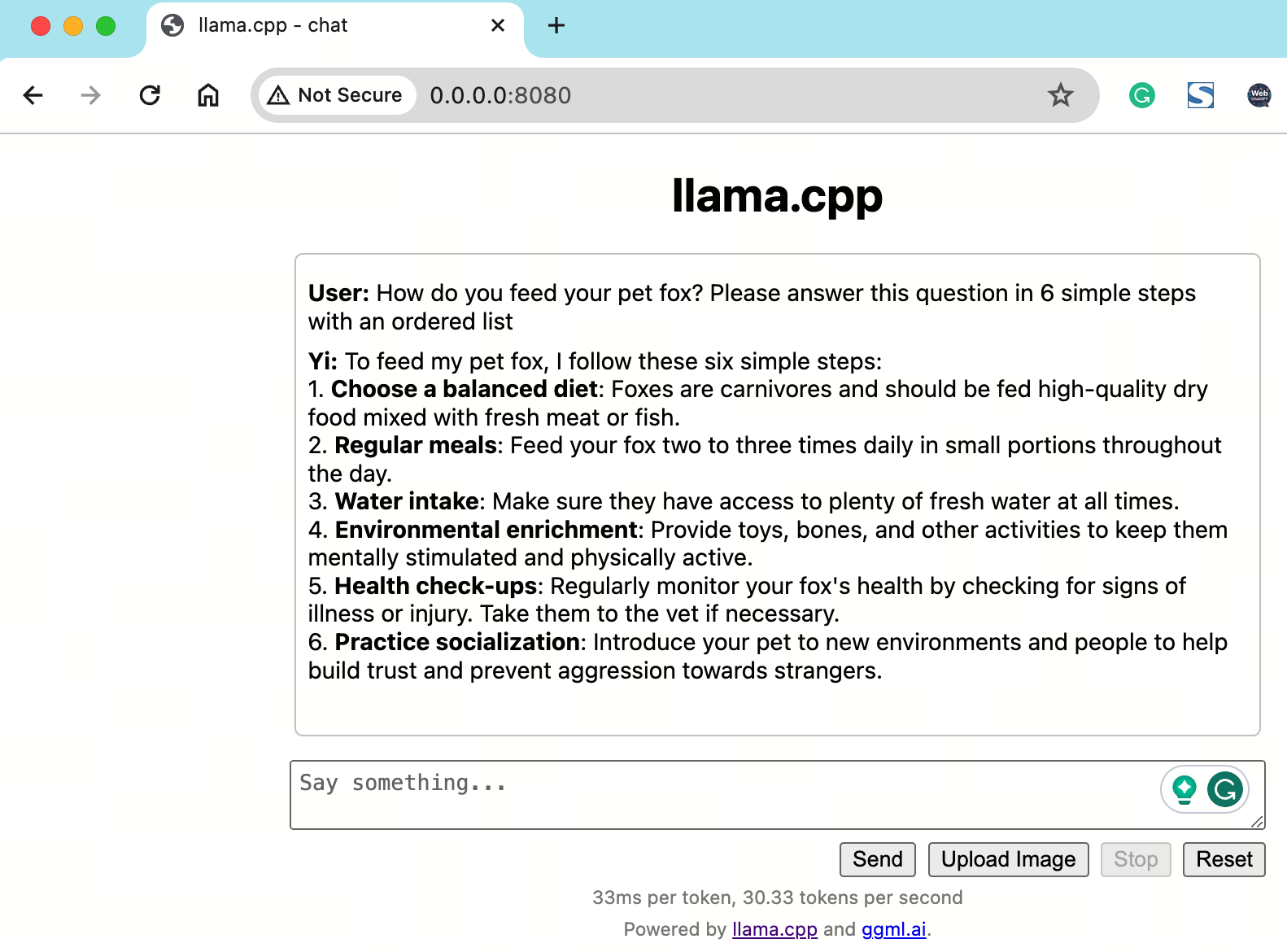 Ask a question to Yi model - llama.cpp