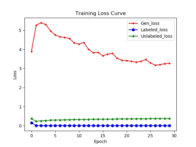 Training Loss Curve