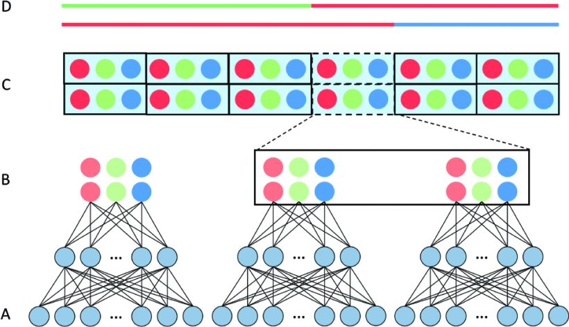 Visualization of the process