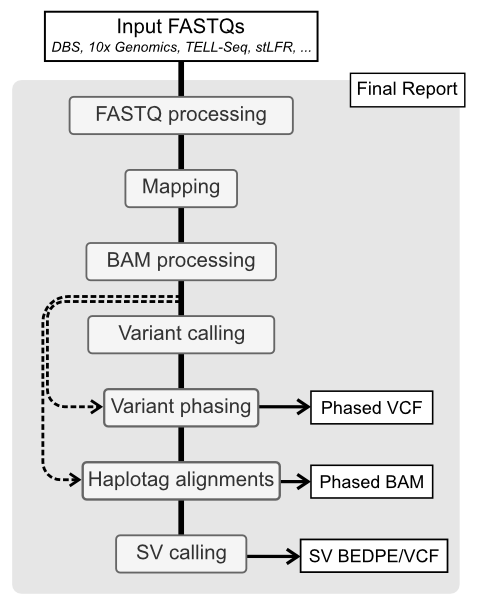 BLR pipeline