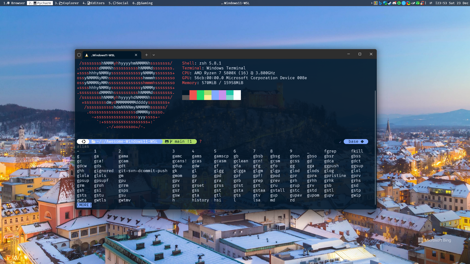 Windows WSL Terminal