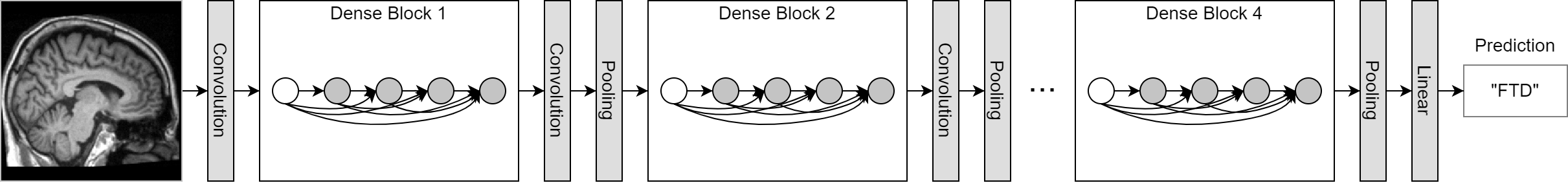 densenet121