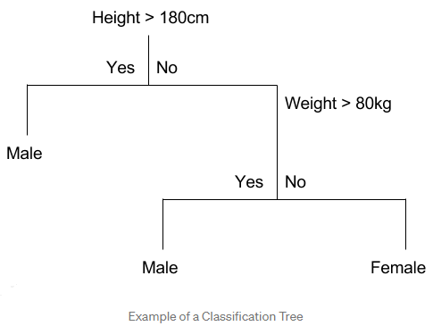 ClassificationTree