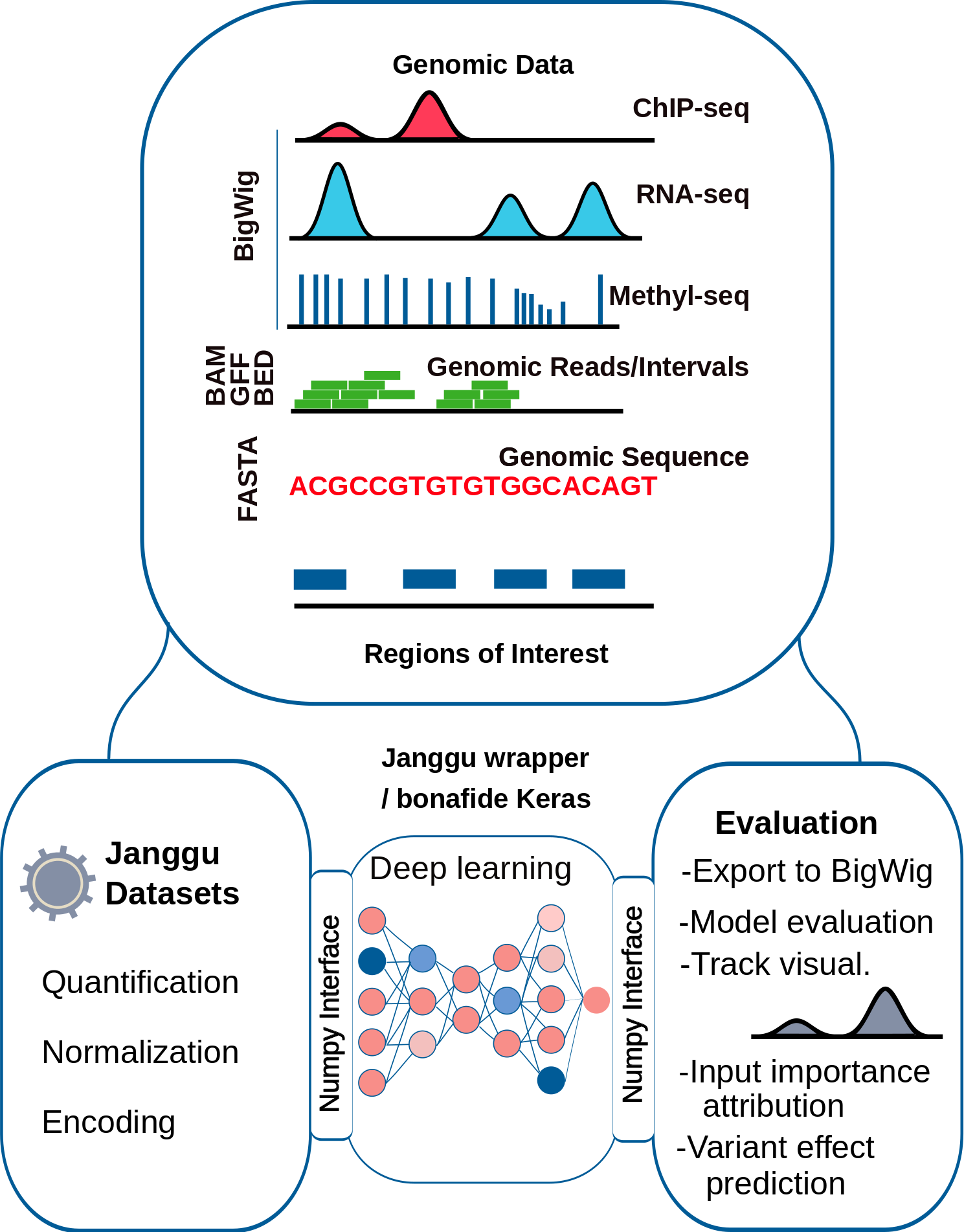 Janggu visual abstract