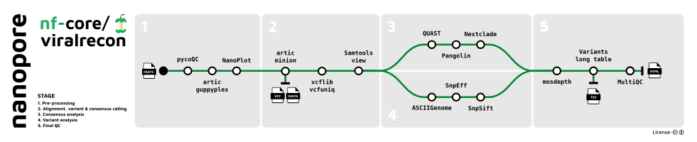 nf-core-viralrecon_metro_map_nanopore.png