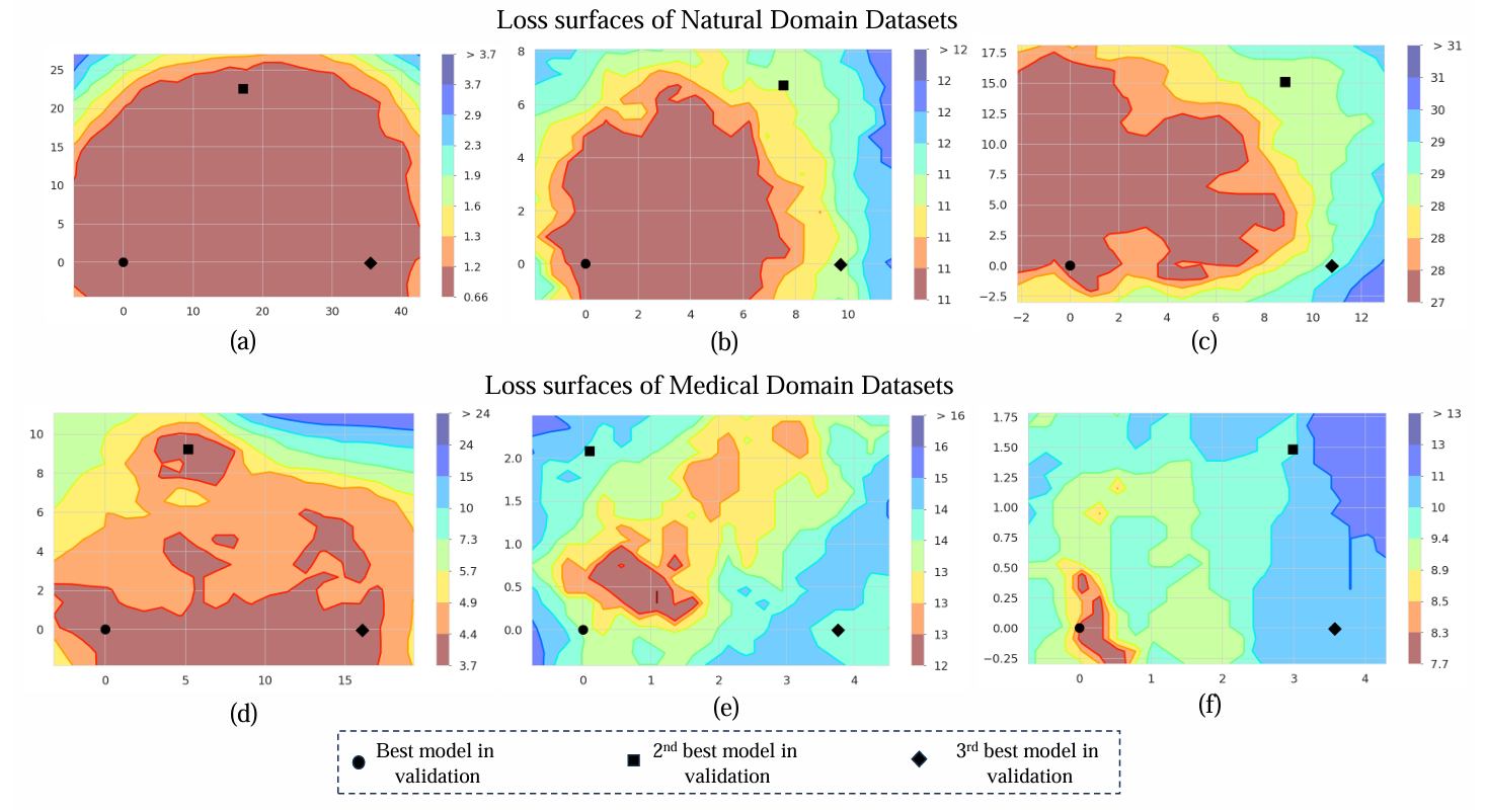 Comparison of loss surfaces for Natural and Medical Datasets