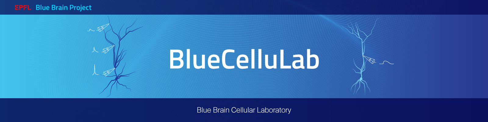 BluePyCelluLab Banner