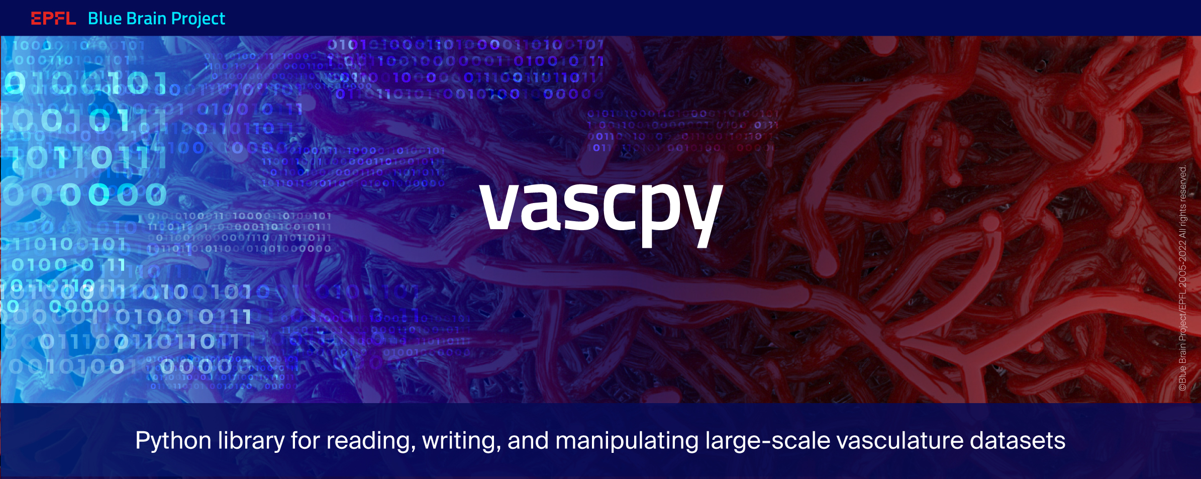 vascpy Logo