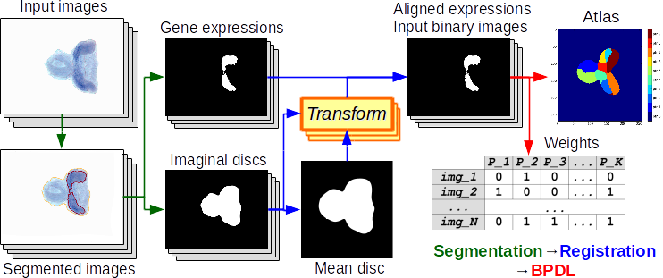 schema