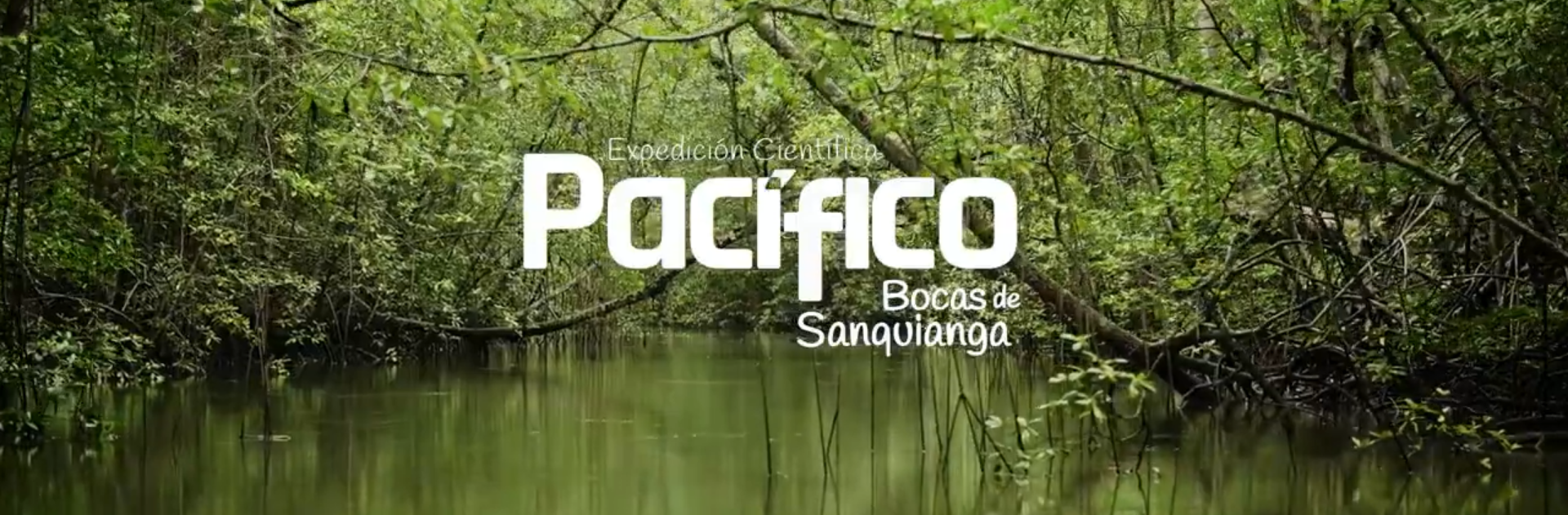 Expedición Pacifico: Bocas de Sanquianga