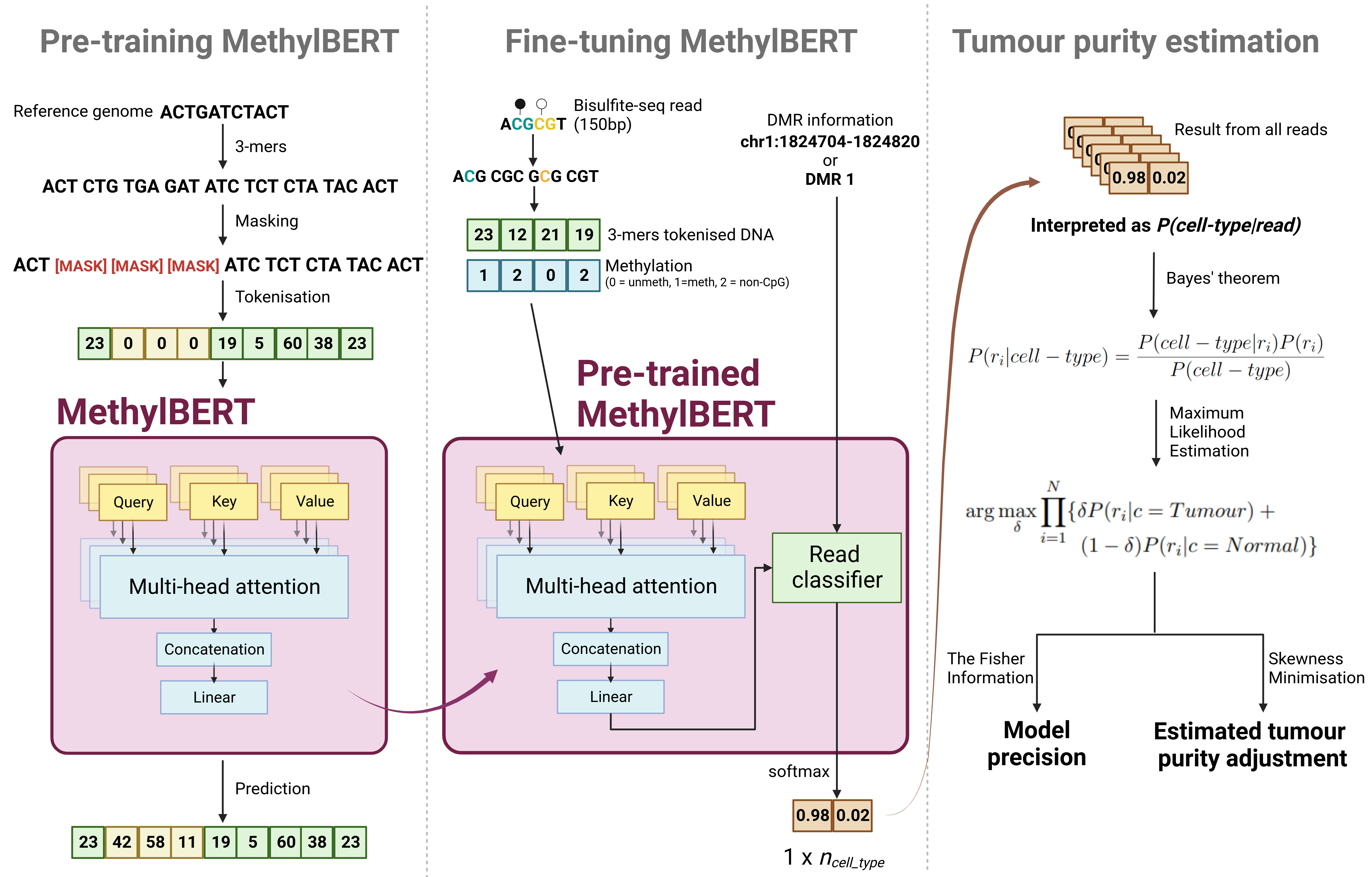 methylbert_scheme