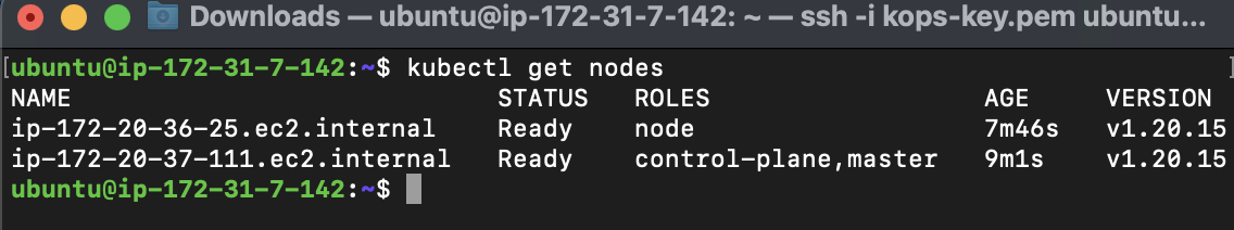 nodes_with_kubectl