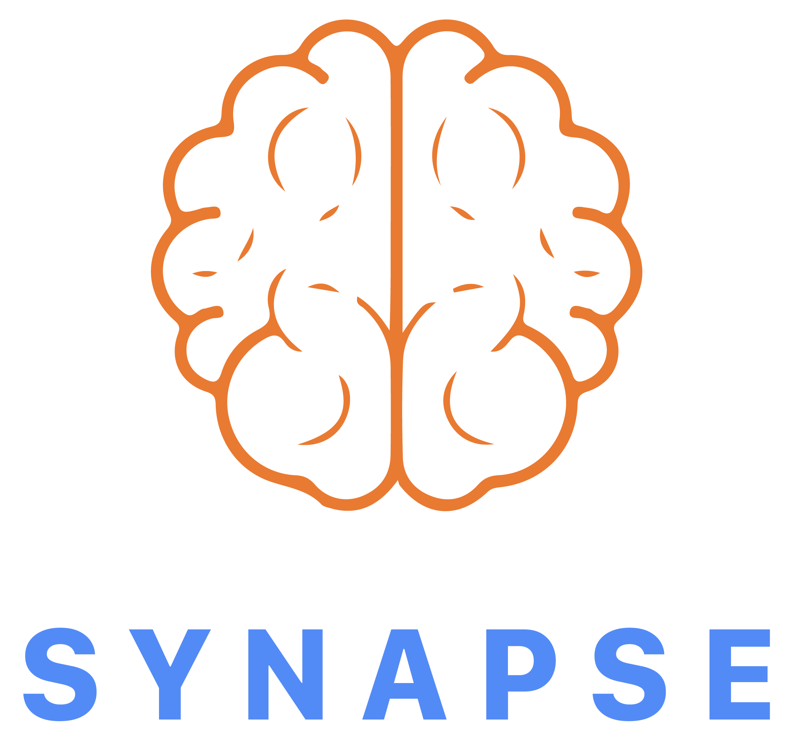 Synapse Logo