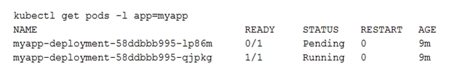 Deployed pods status