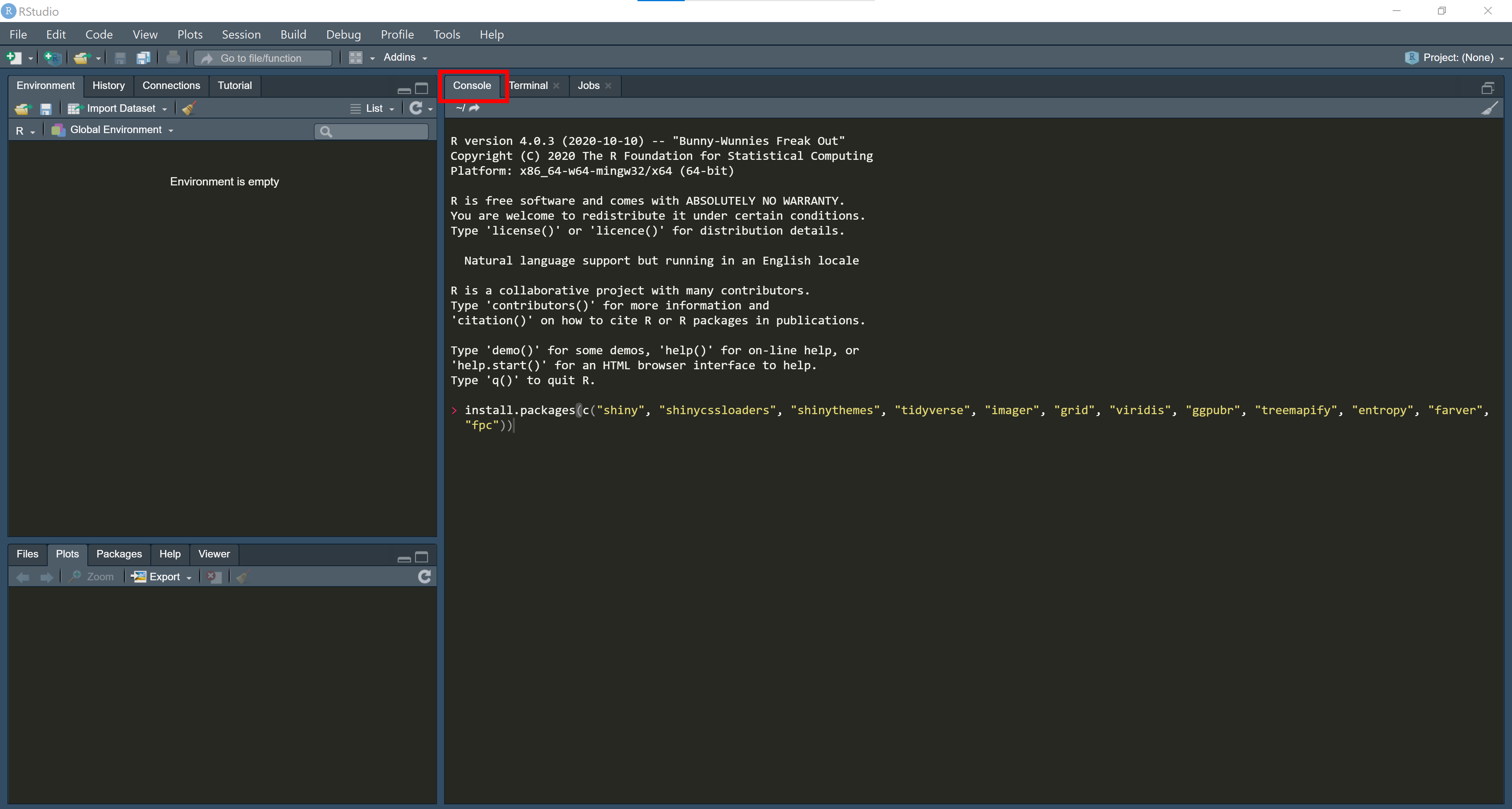 RStudio console