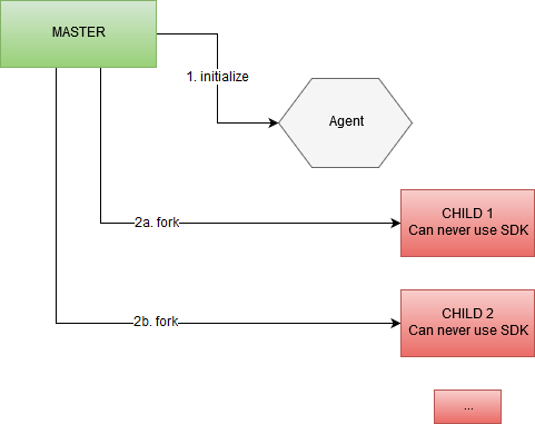 Diagram showing how to pre-initialize the SDK in the parent/master process and double forking