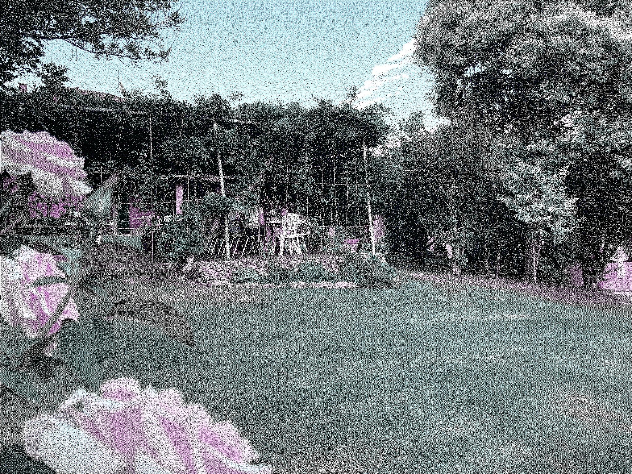 A dithered image with four colors. A rose bush on a field in foreground with a pergola in the background.