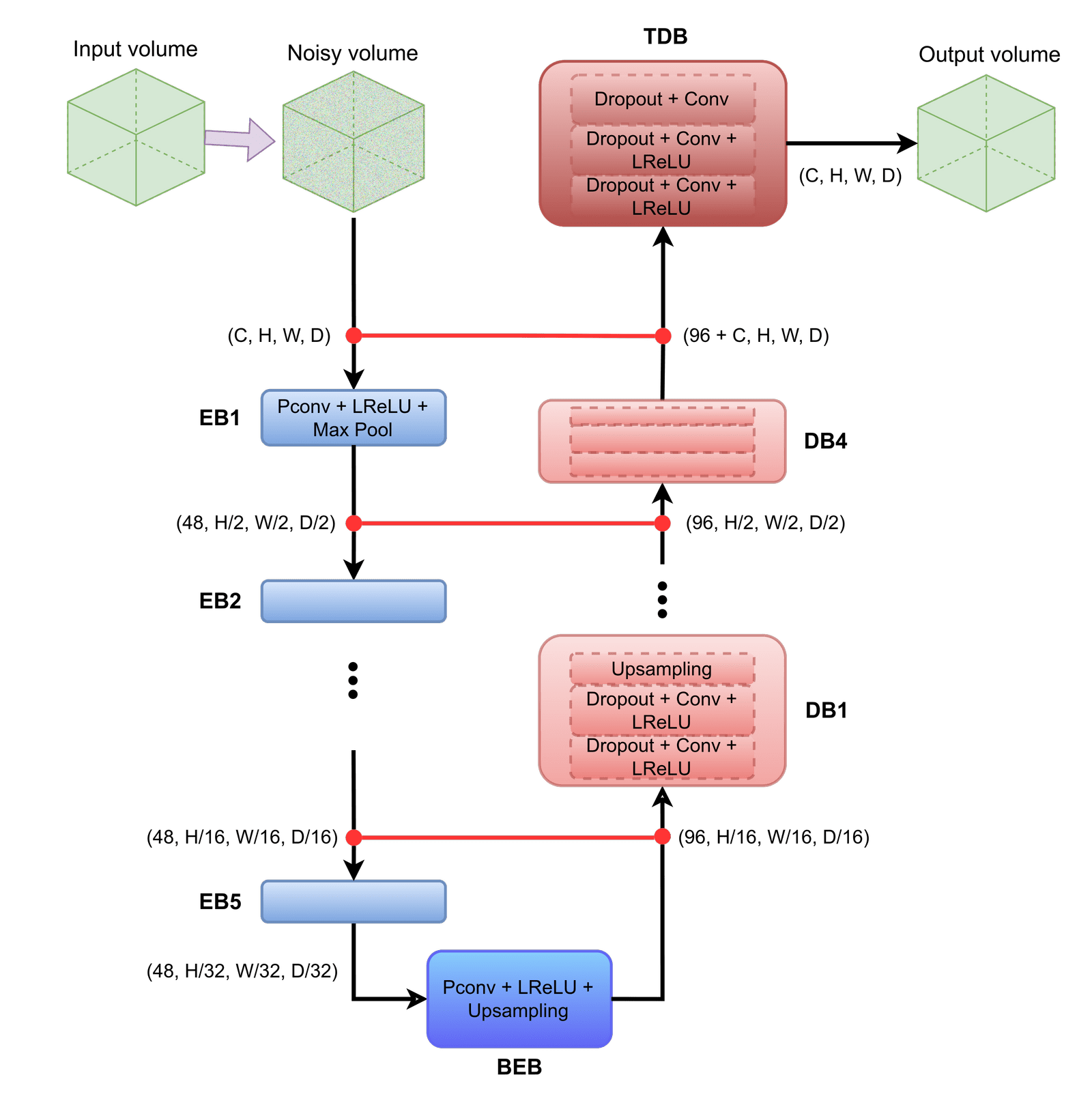 3D U-net