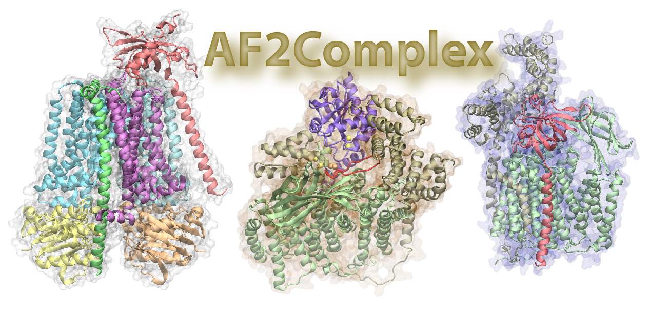 AF2Complex Overview