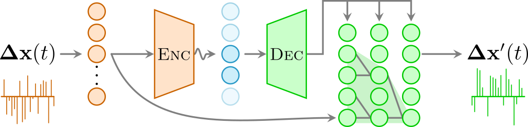 Interpretable autoregressive β-VAE architecture.