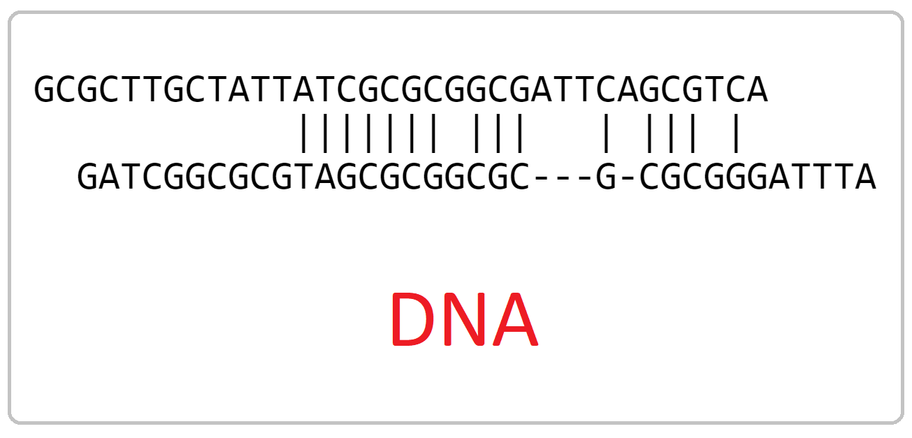 DNA complementarity