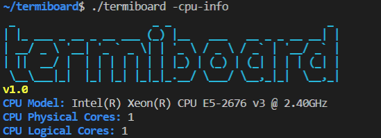 CPU Info Output SS