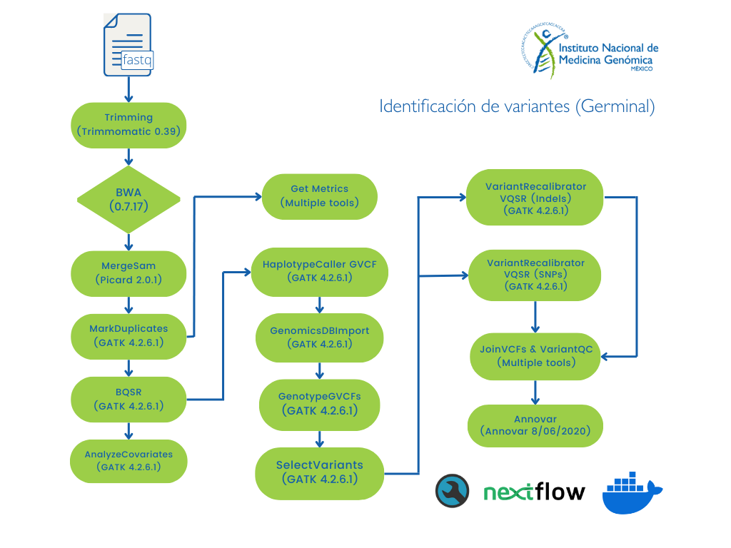 Flujo identificación de variantes germinal