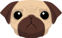 pug