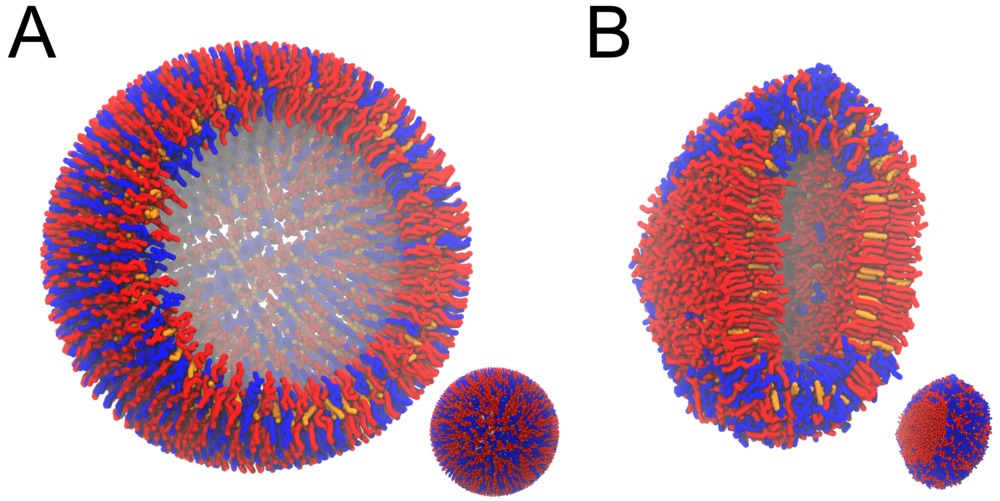 lipid_3.png