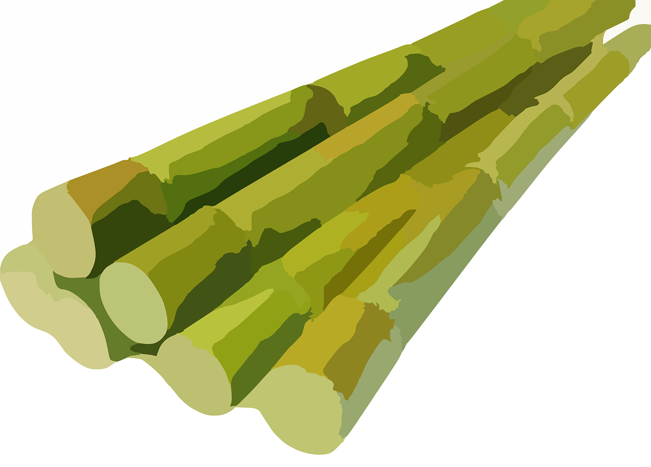 Image of sugarcane