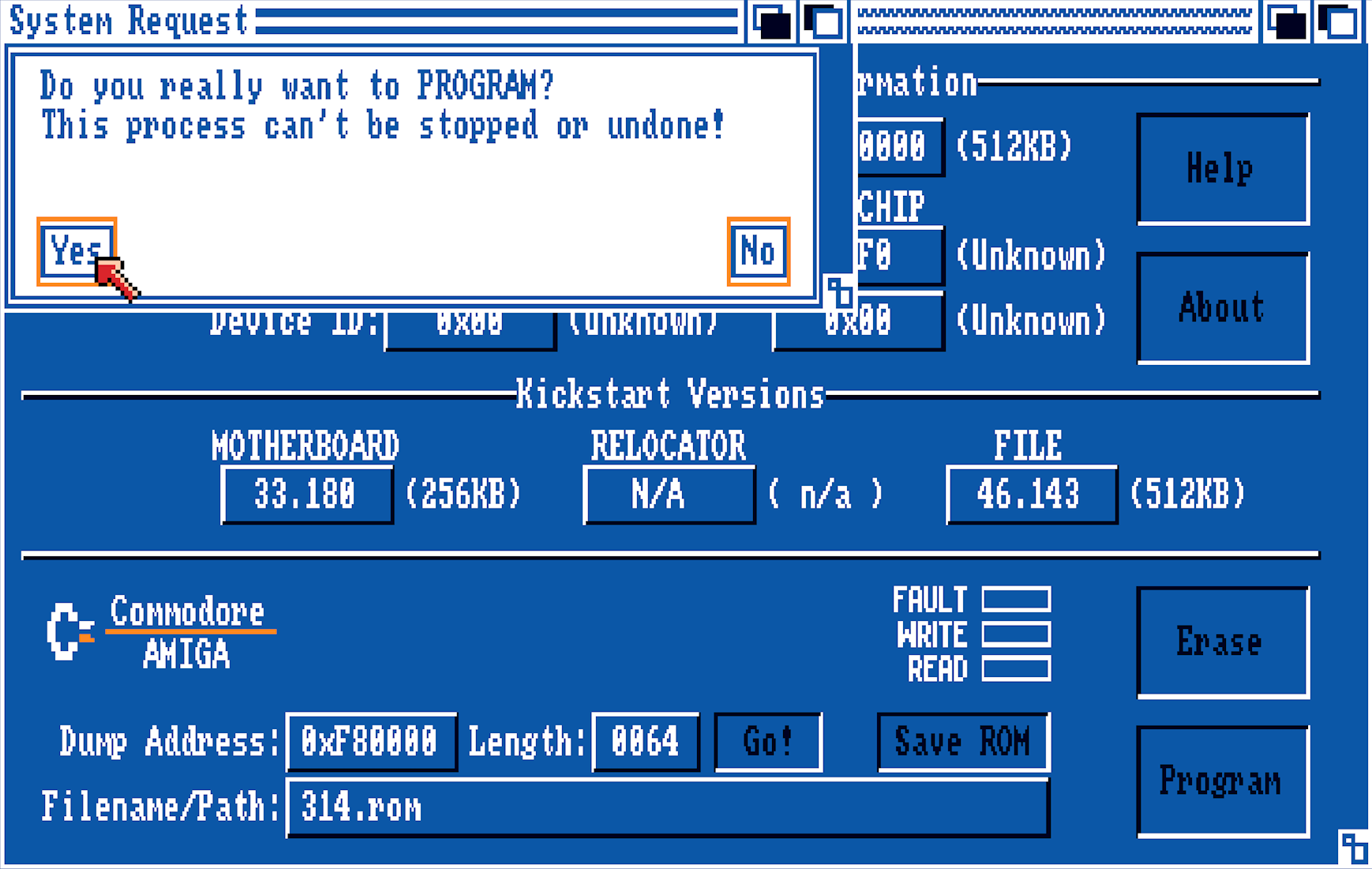 Programming the Flash EEPROMs