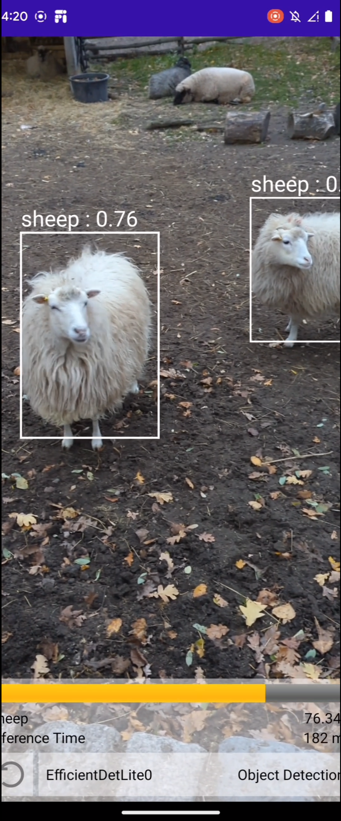 sheeps.png