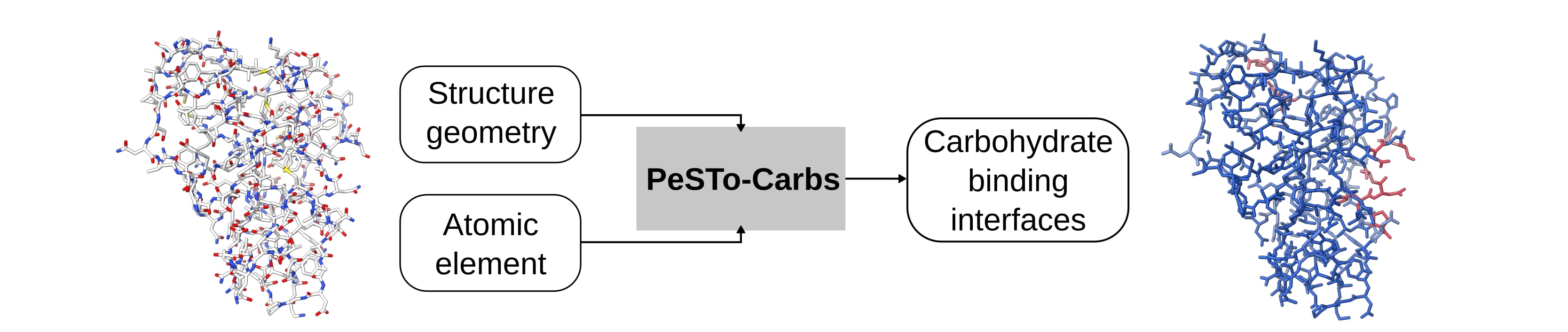 pesto carbs summary