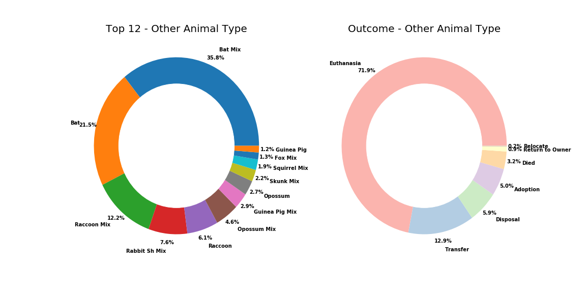 Image of Other Animal type Distribution and Outcomes