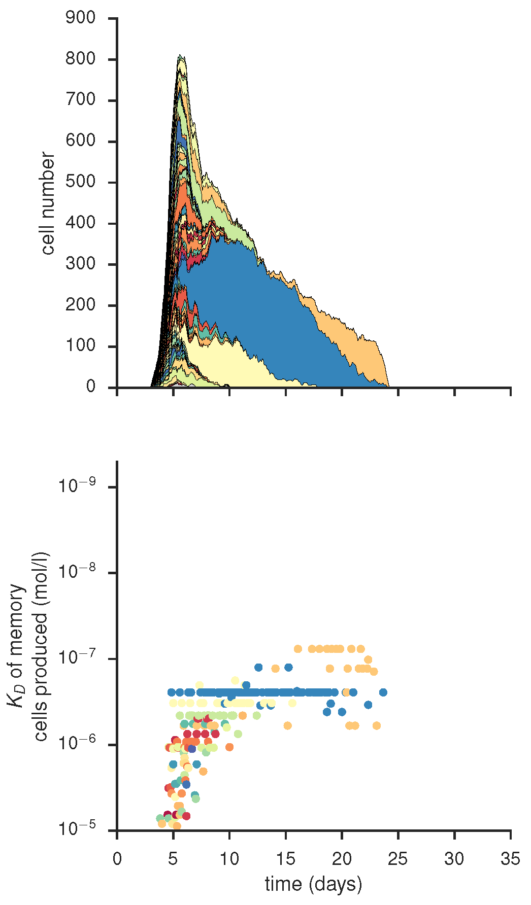 B1_plot