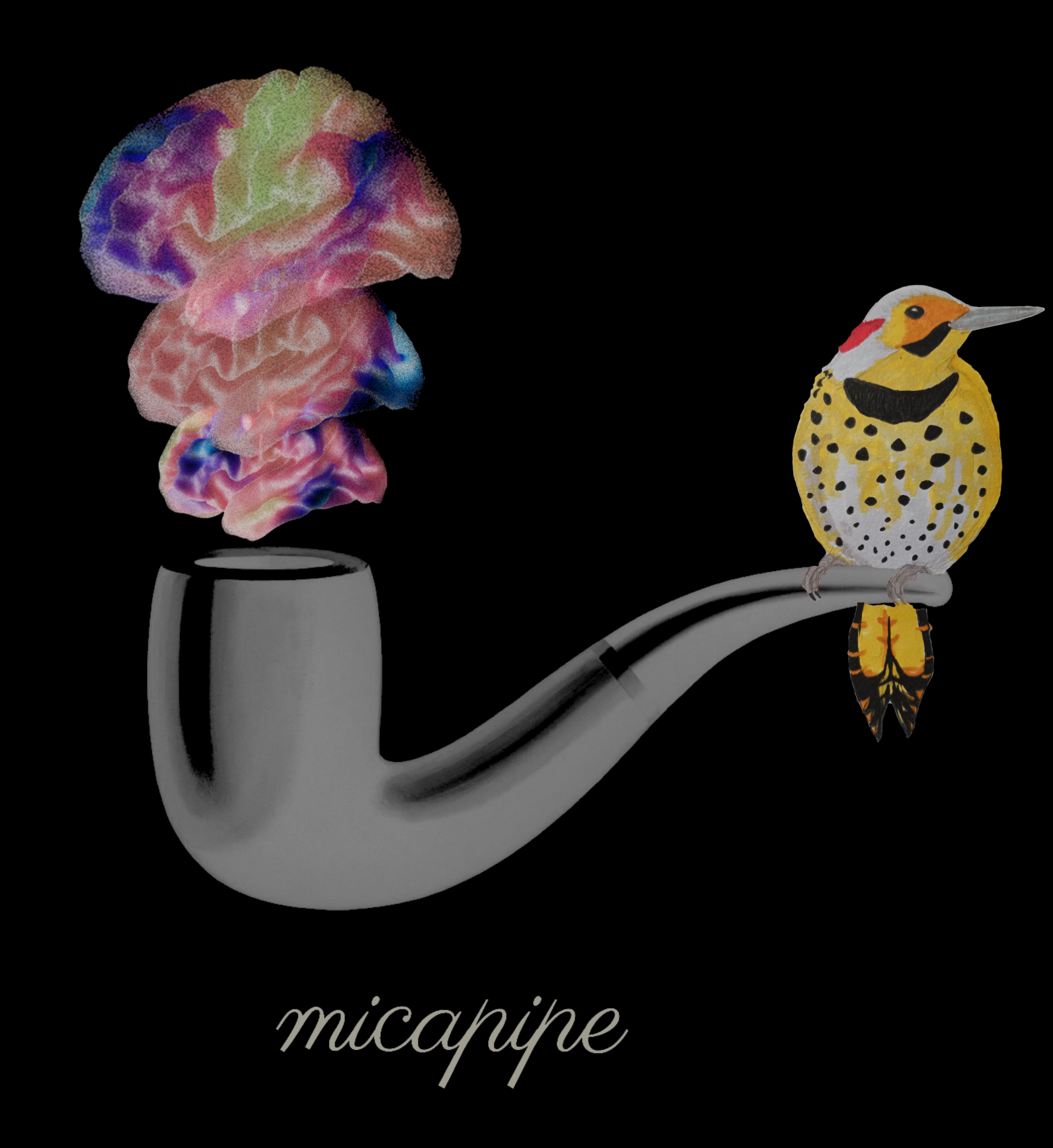 micapipe