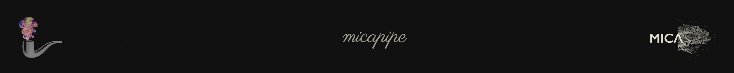 micapipe logo
