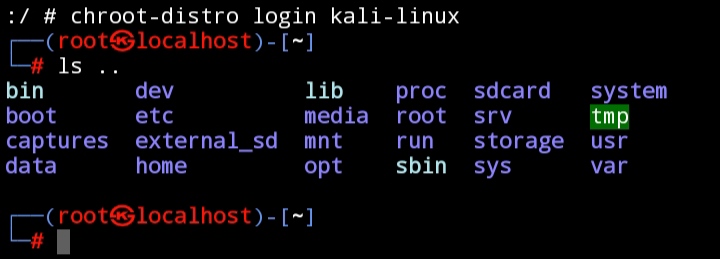 Kali Linux console