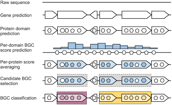 DeepBGC pipeline