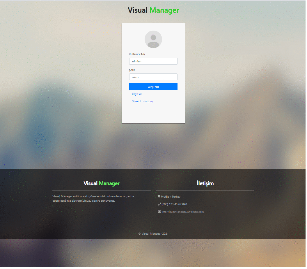 visual-manager Demo