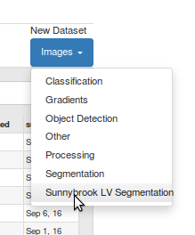 select dataset