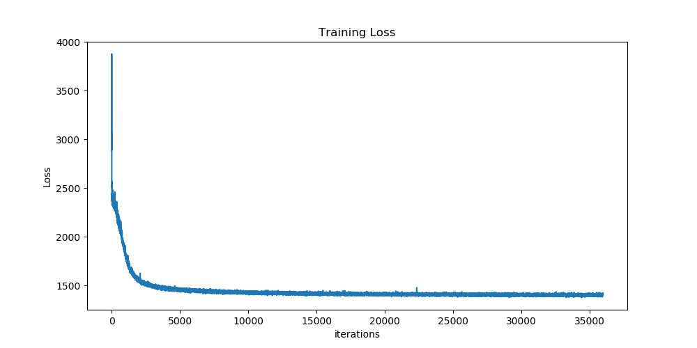 Training Loss Curves