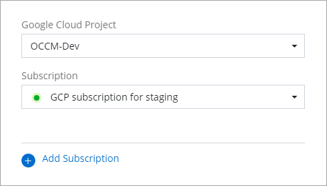 为 Google Cloud 凭据选择的 Google Cloud 项目和订阅的屏幕截图。