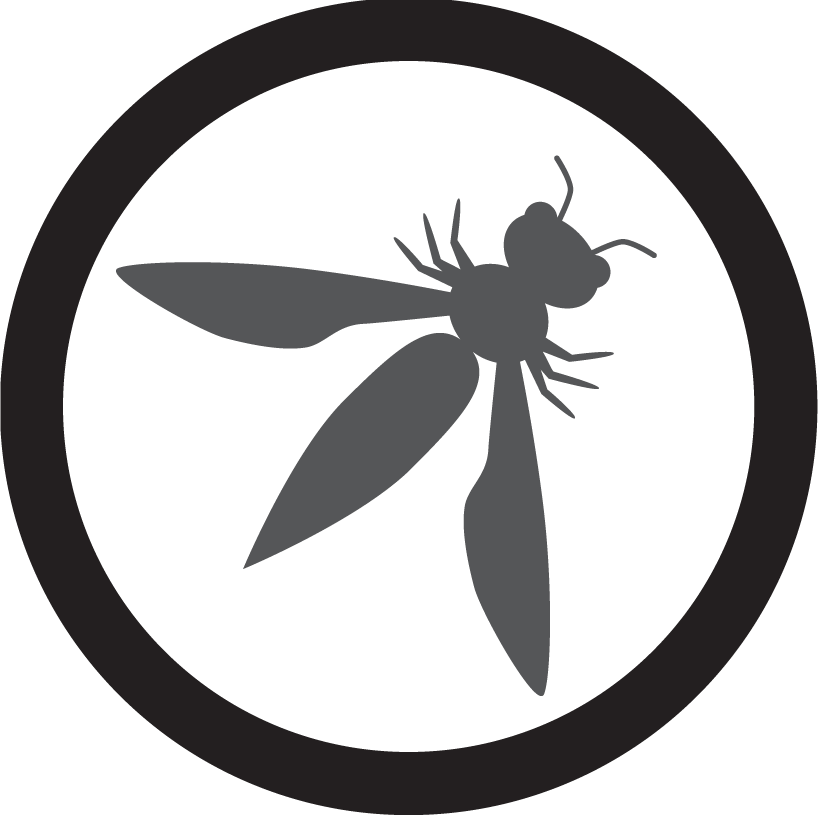 owasp.png